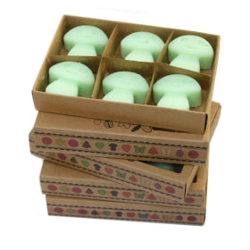 Natural Soy Wax Melts