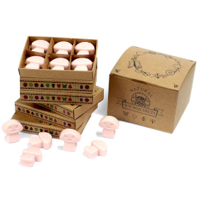 Natural Soy Wax Melts