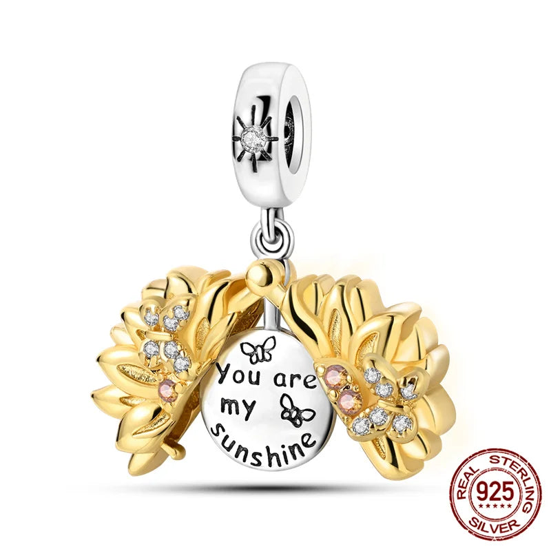 Silver Locket Style Charms