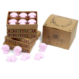 Natural Soy Wax Melts