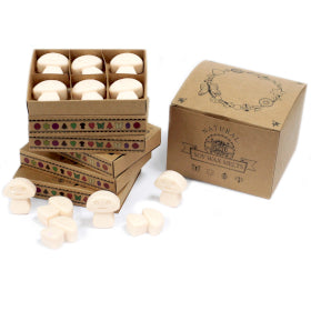 Natural Soy Wax Melts