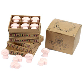 Natural Soy Wax Melts